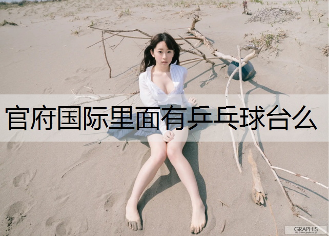 官府国际里面有乒乓球台么