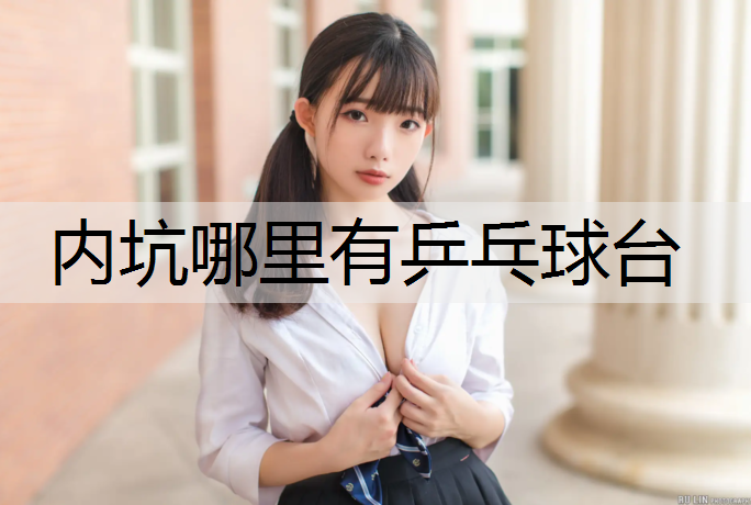 内坑哪里有乒乓球台