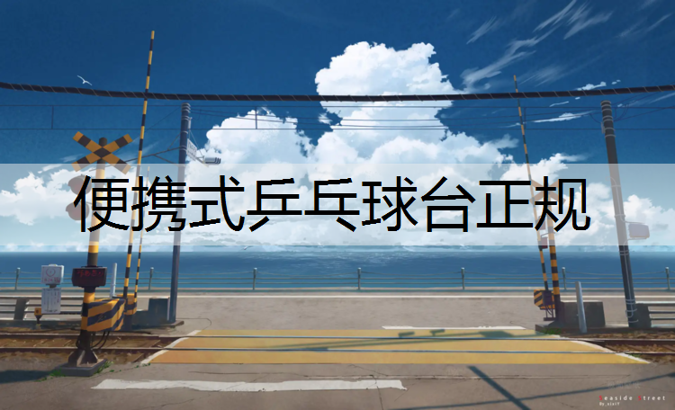 便携式乒乓球台正规