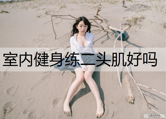 室内健身练二头肌好吗