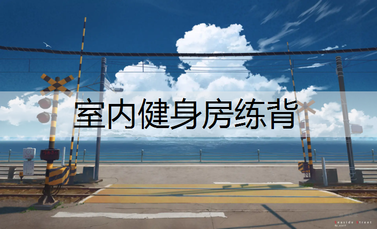 室内健身房练背