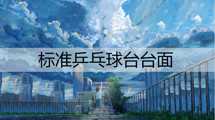 标准乒乓球台台面