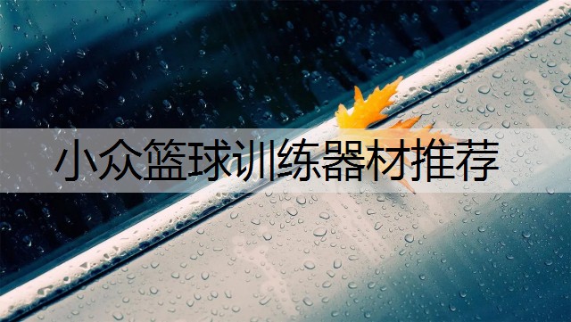 小众篮球训练器材推荐