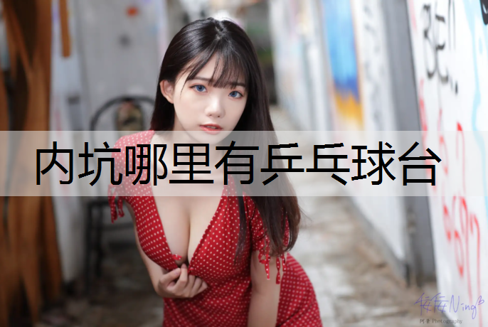 内坑哪里有乒乓球台