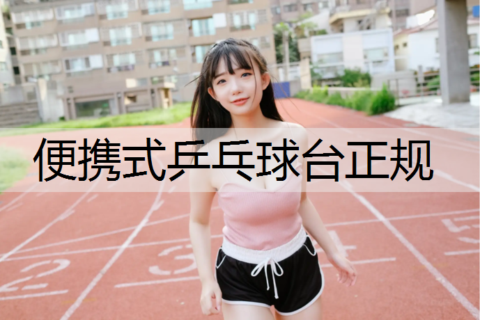 便携式乒乓球台正规