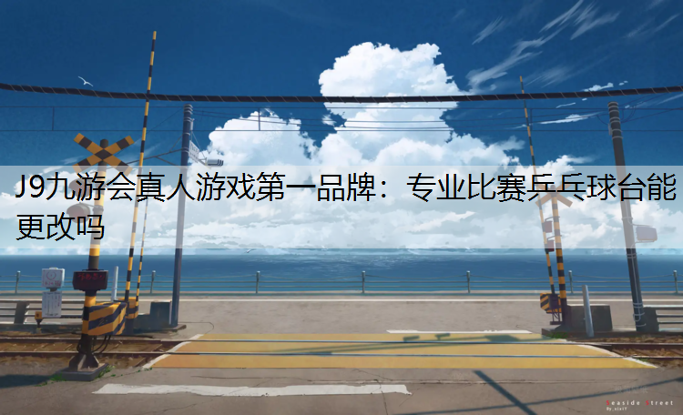 专业比赛乒乓球台能更改吗