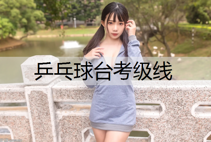 乒乓球台考级线